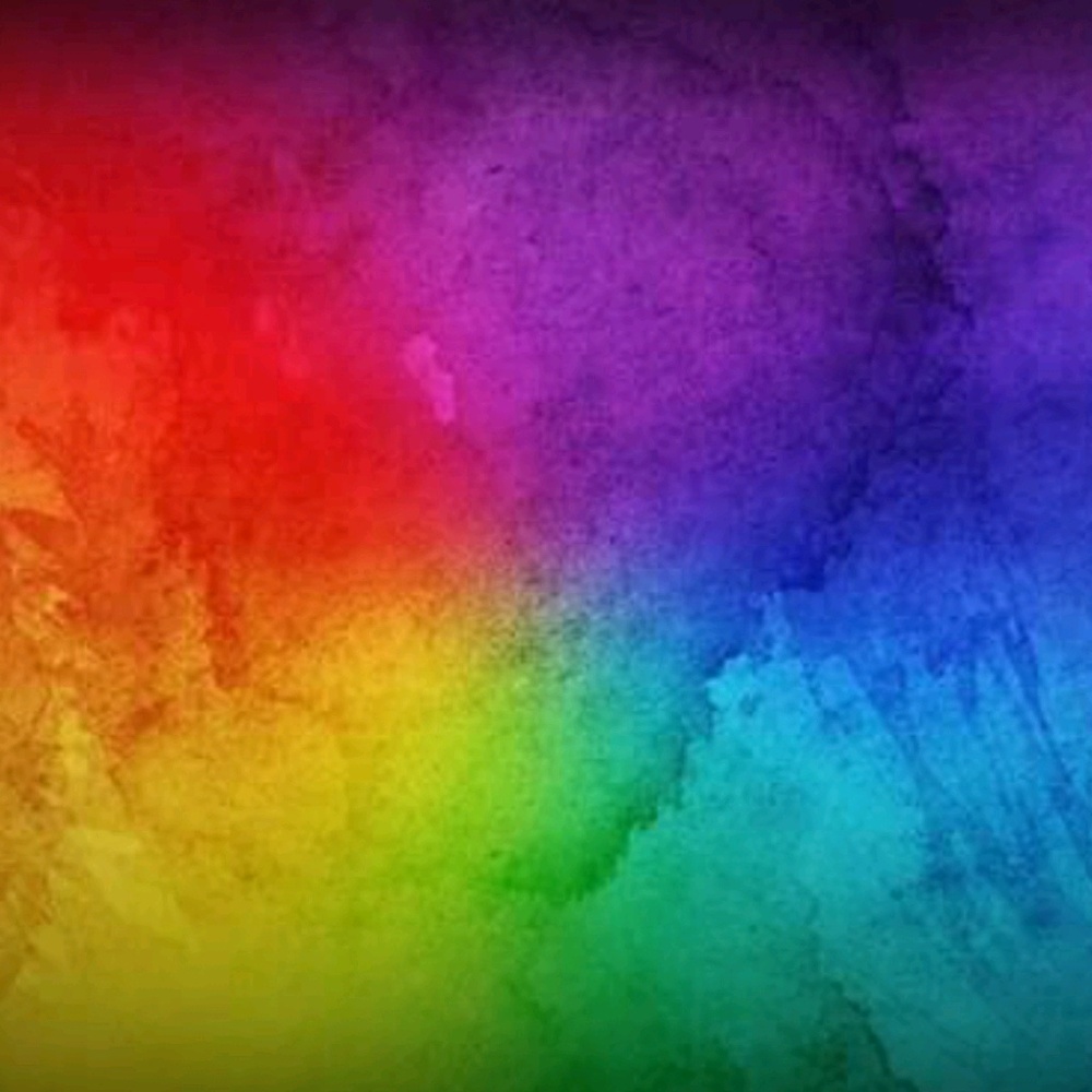 Meet your Posher, Kat